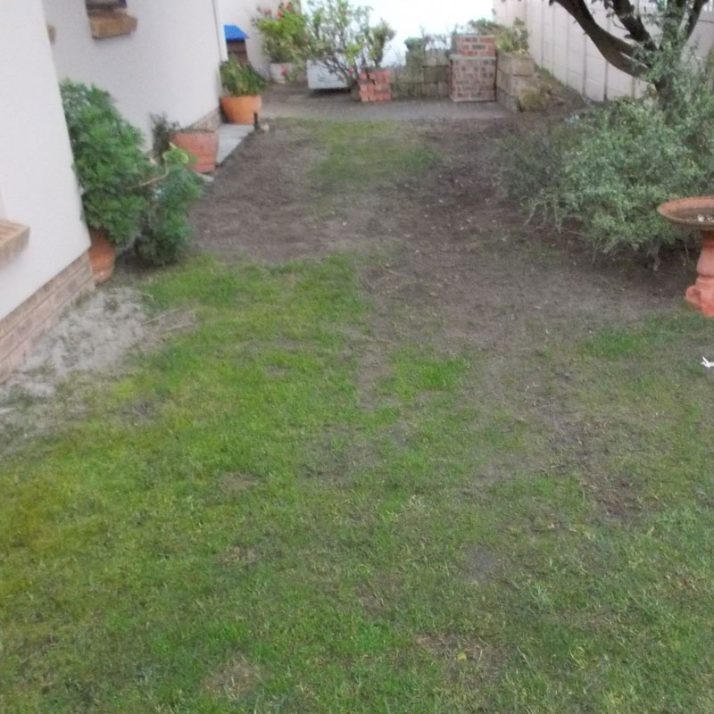 Lay some brick paving in your garden 1