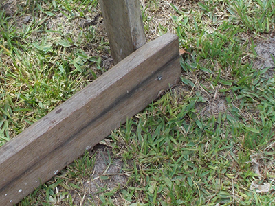 Ladder Safety 2