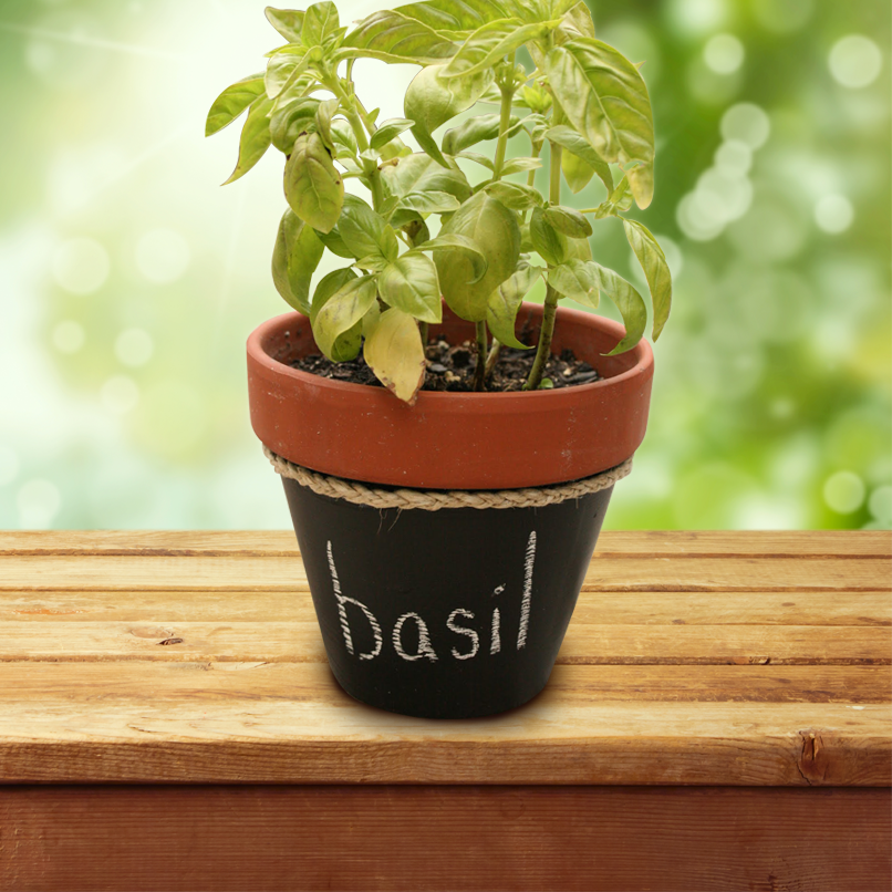 A trendy way to lable your pot plants