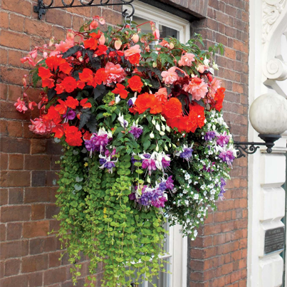 Make a Hanging Planter