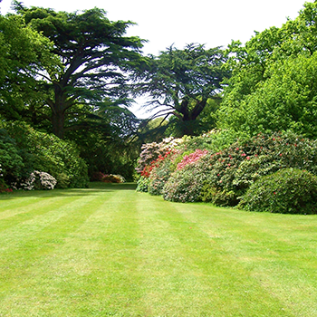 Easy lawn care