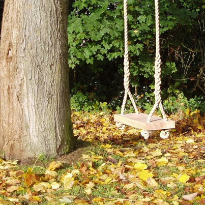 Make this great Garden Tree Swing