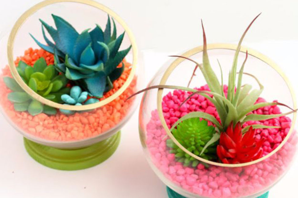 Neon Terrarium