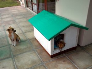 Completed Kennel 2