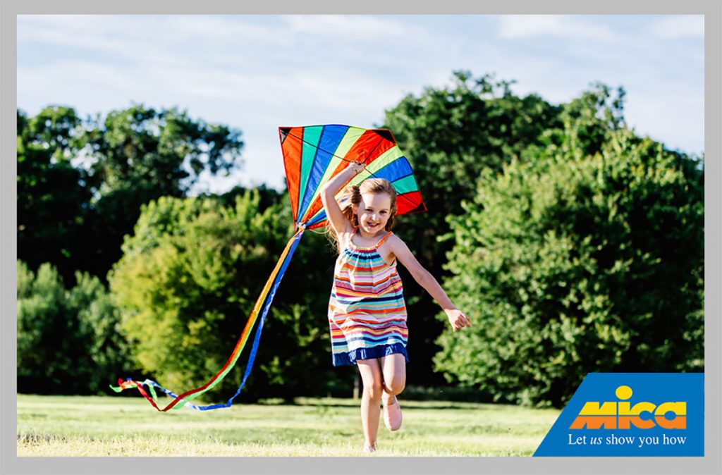 Bag Kite Banner