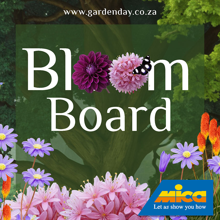 Bloom Board