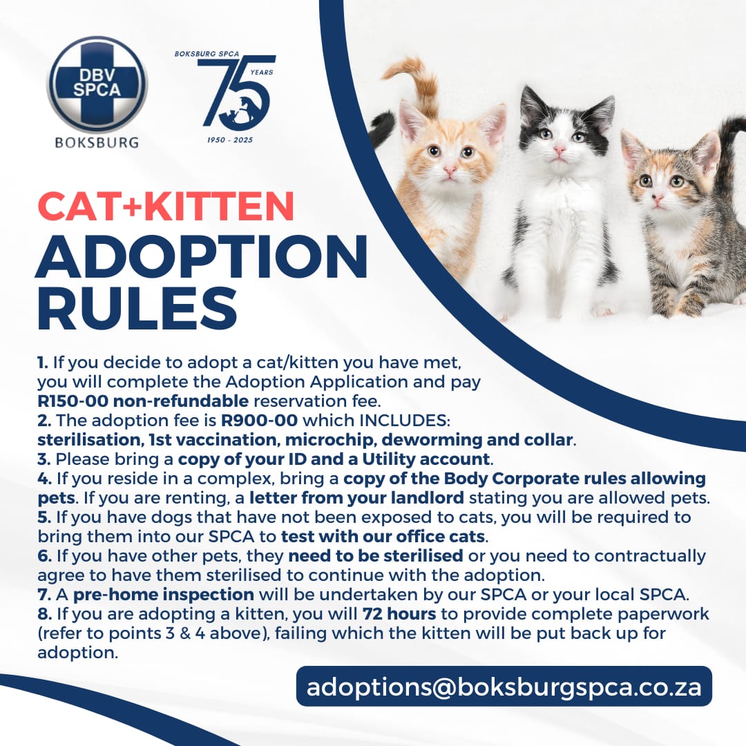Cats and Kittens adoption rules