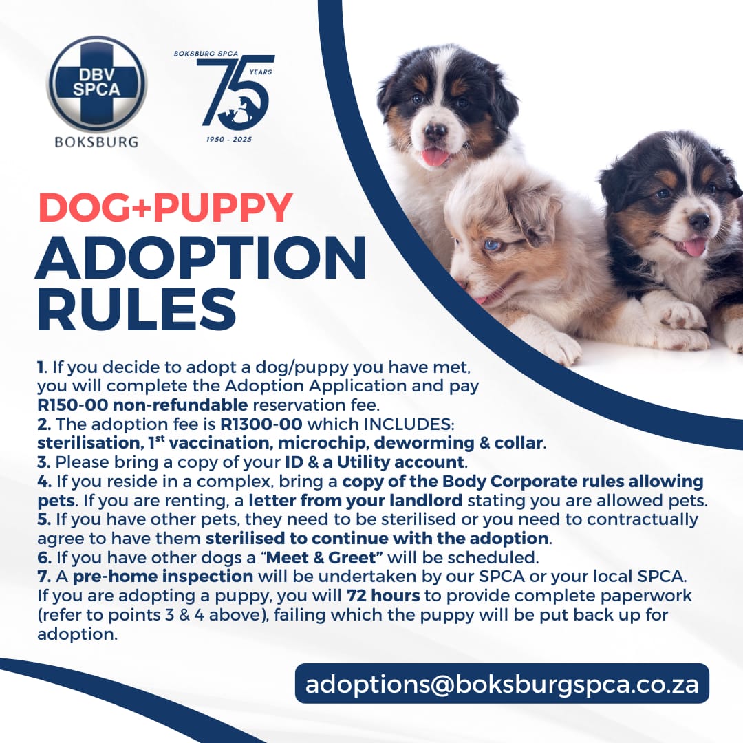 Dogs and Puppies adoption rules